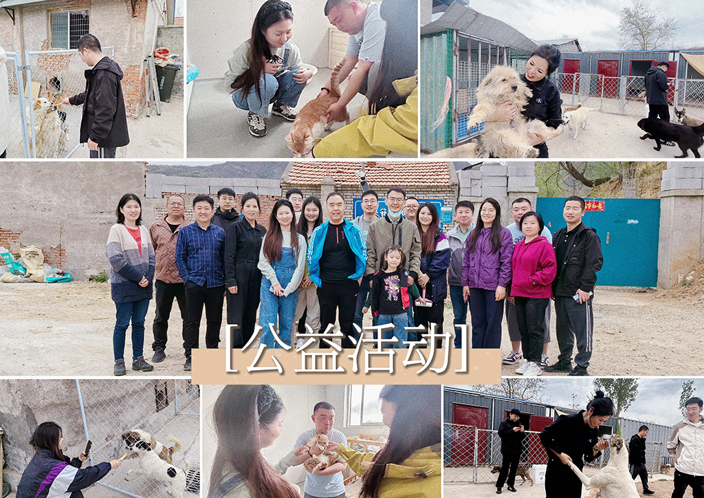 北京盛典博覽公司展現企業社會責任，探訪流浪狗基地并舉辦爬山團建